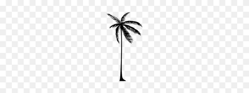 256x256 Tree Palm Palm Tree Silhouette - Palm Tree Silhouette PNG