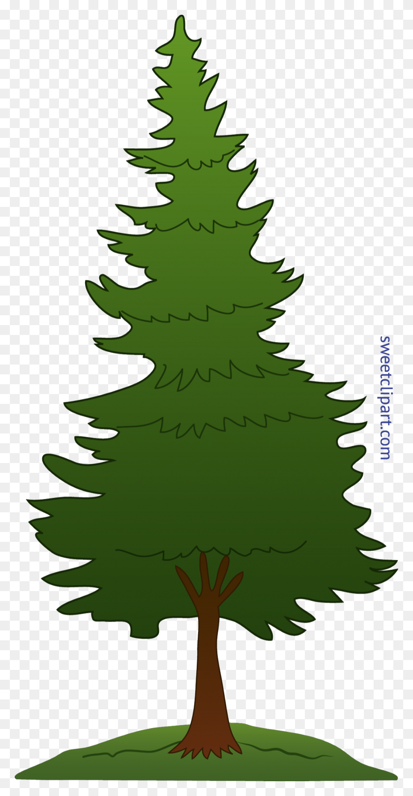 3256x6498 Tree Pine Clip Art - Pine Tree Border Clipart