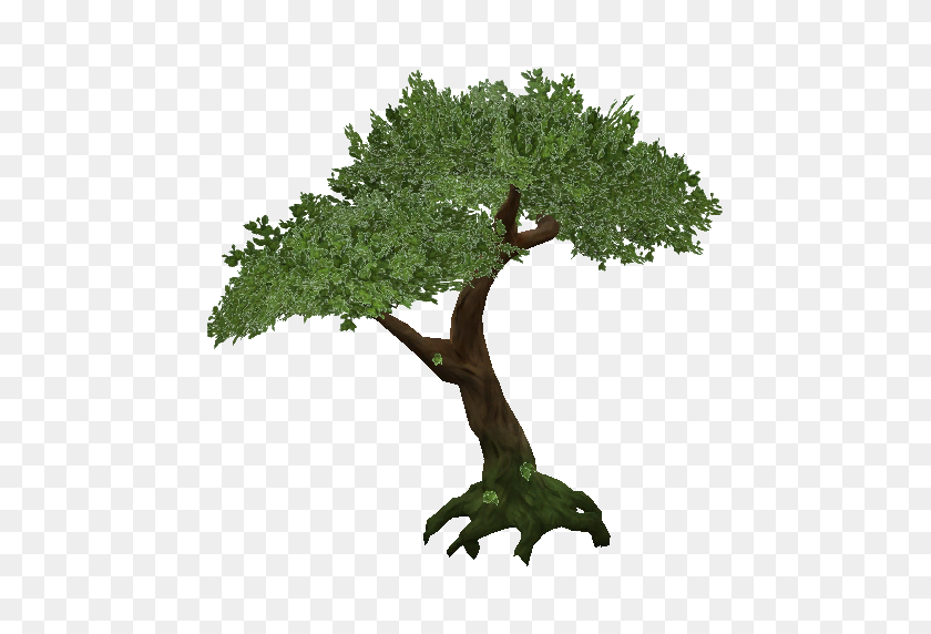 512x512 Tree Png Images Transparent Free Download - Tree From Above PNG