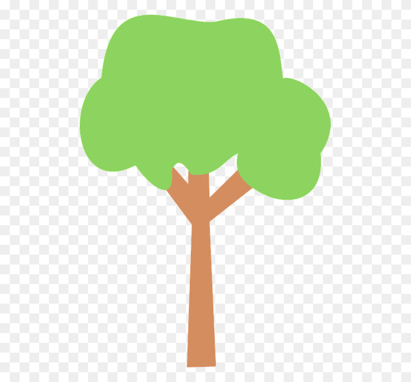 513x720 Tree Png Vector Transparent Tree Vector Images - Olive Tree PNG