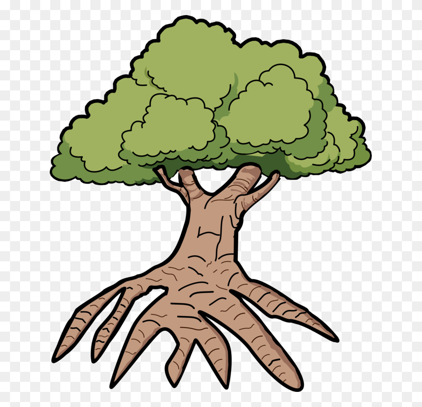 641x750 Tree Root Drawing Computer Icons Leaf - Root PNG