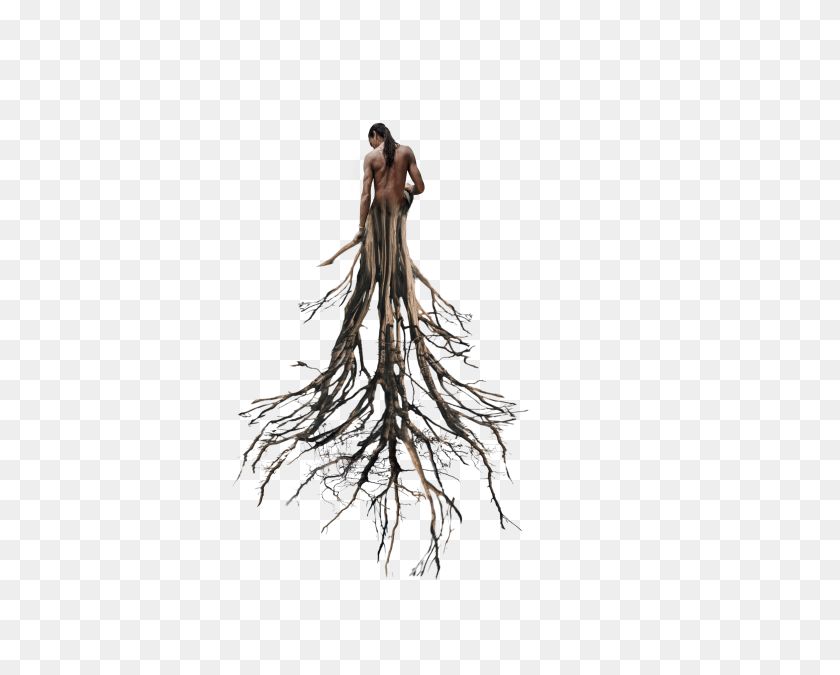 5699x4500 Tree Roots Png, Tree Roots Png The Writing Tree Old House - Tree With Roots PNG