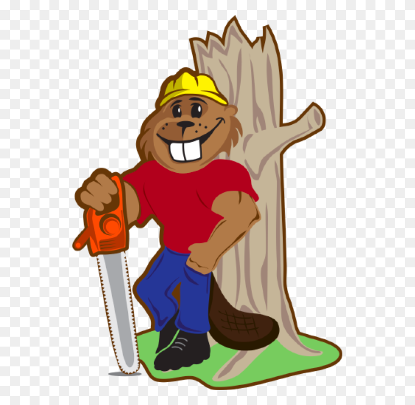 689x758 Servicios De Árboles En Winston Salem, Greensboro Beaver Tree Service - Tree Service Clipart