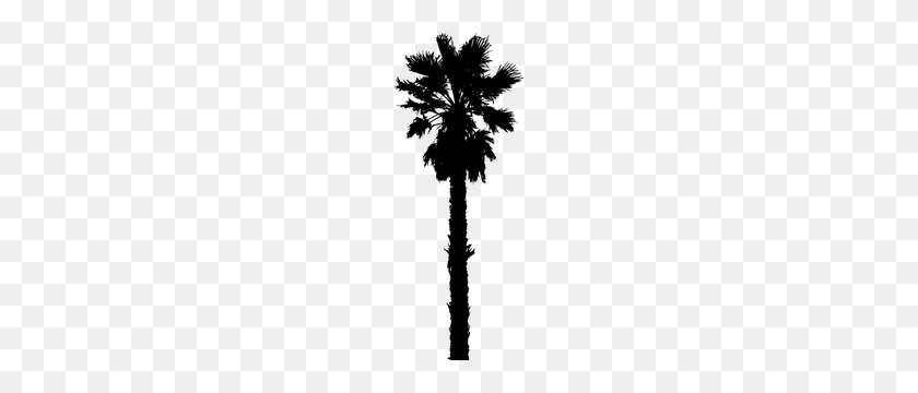 300x300 Tree Silhouette Clip Art - Palm Tree Vector PNG
