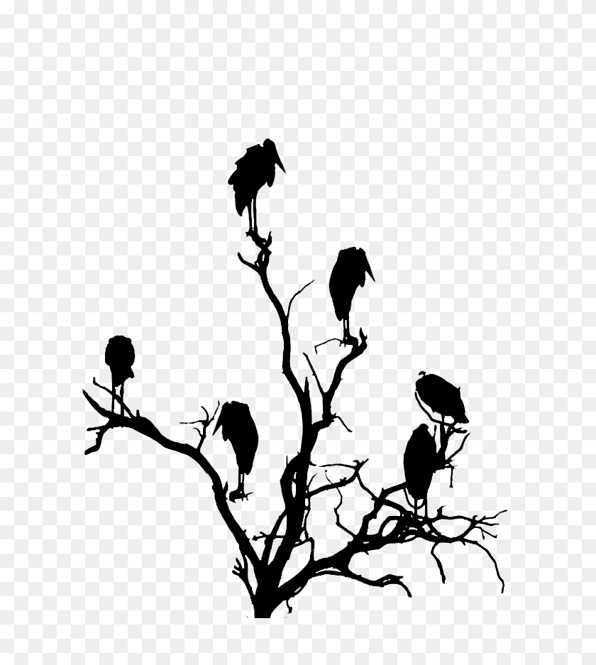 698x877 Tree Silhouette Png, Clipart - Oak Tree Silhouette PNG