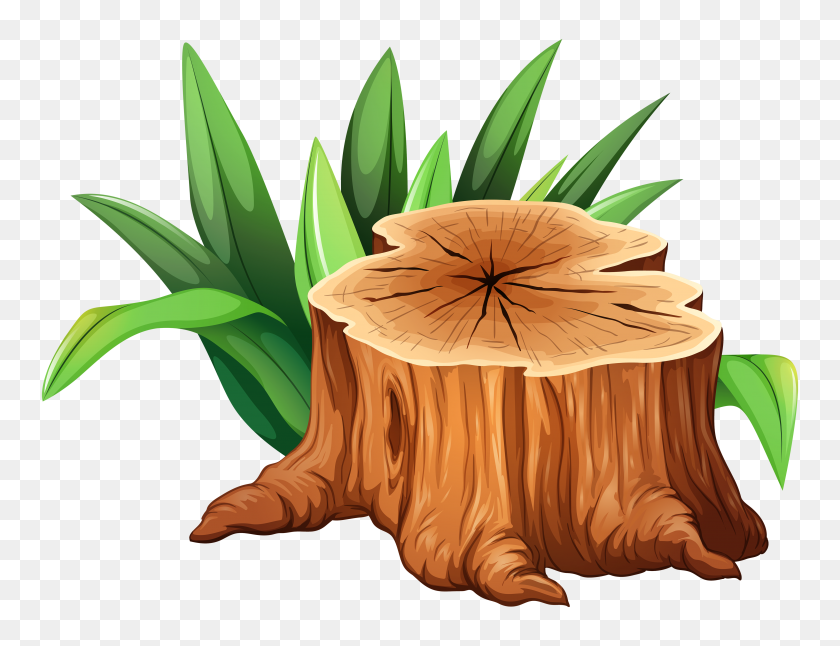 4000x3009 Tree Stump Clipart Png - Wood PNG