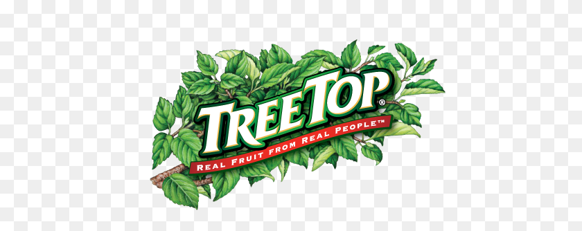 475x274 Tree Top Internships - Tree Top PNG