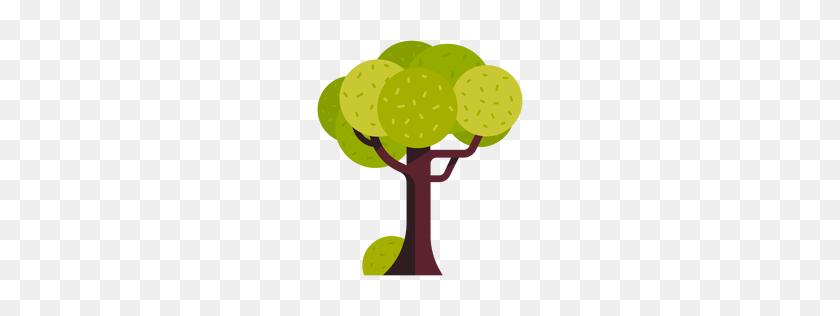 256x256 Tree Transparent Png Or To Download - Olive Tree PNG