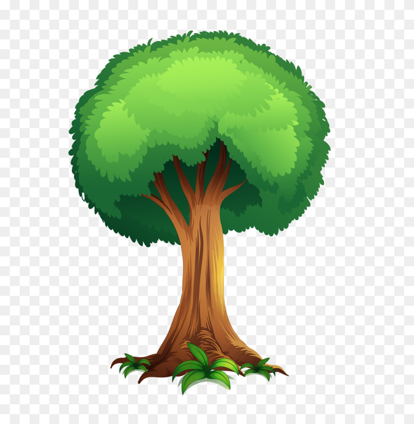 605x800 Дерево, Дерево, Листья - Листья Пальмы, Png Клипарт