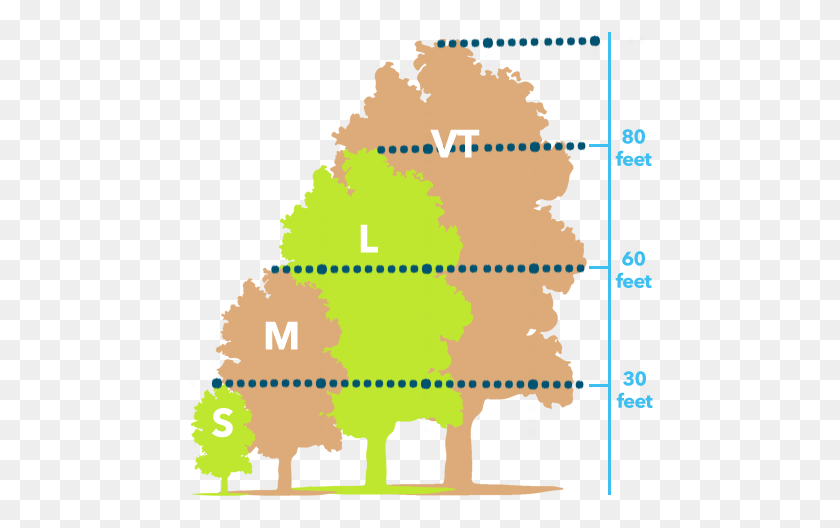 467x468 Tree Trimming Service Guide - Small Tree PNG