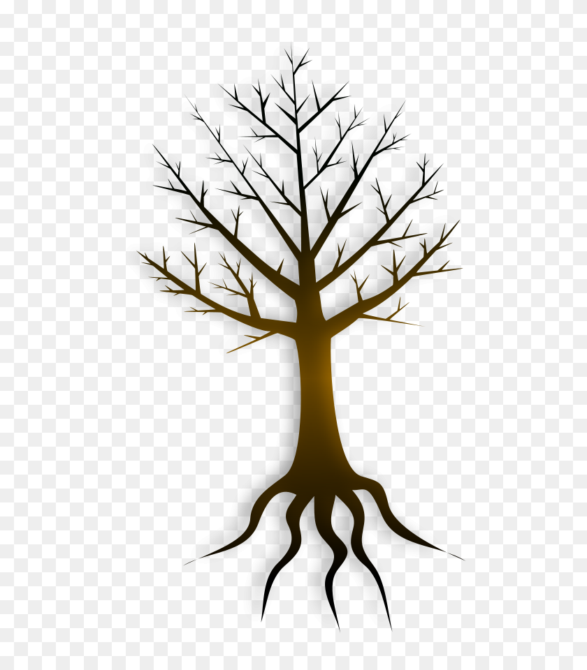 Дерево без листьев с корнями
