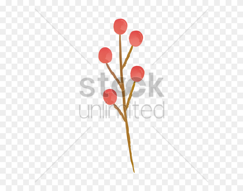 600x600 Tree Twig With Berries Vector Image - Twig PNG