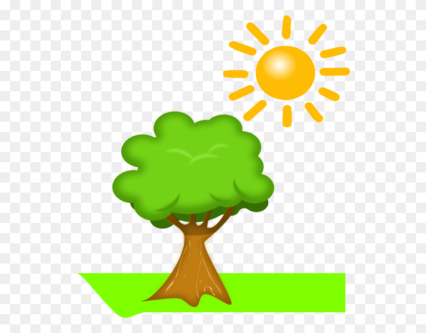 540x597 Tree Under Sunlight Clip Art - Tree Free Clipart