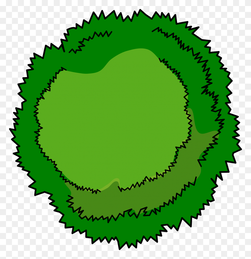 2294x2376 Tree View Clipart - Tree Top PNG
