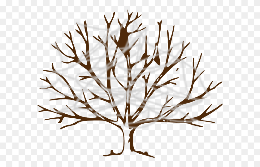 600x479 Дерево С Паутиной Картинки - Паутинный Клипарт