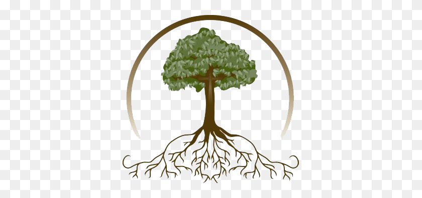 351x336 Tree With Roots - Roots PNG