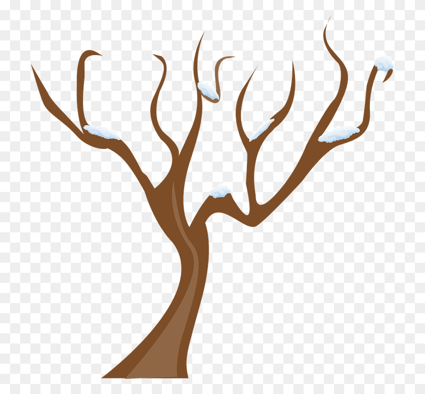 717x720 Tree With Snow Clipart Collection - Bare Tree PNG