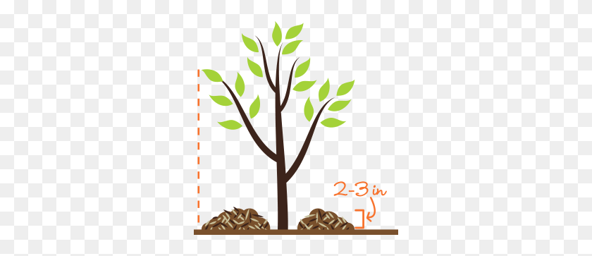 290x303 Treebaltimore Mulch Your Tree - Клипарт День Посадки Деревьев
