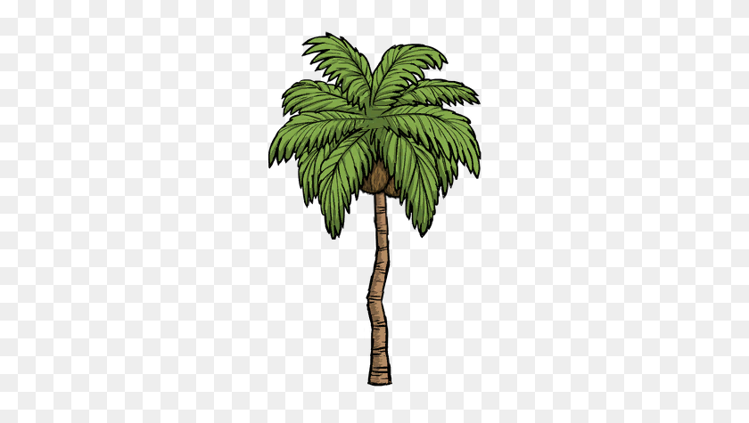 268x415 Treepalm Tree Don't Starve Game Wiki Fandom Powered - Palms PNG