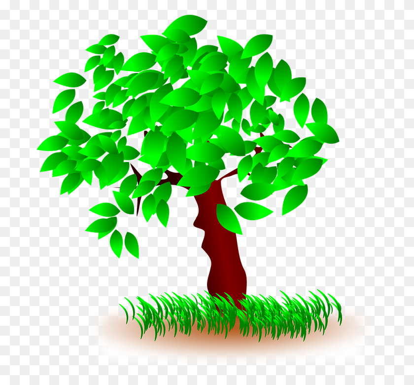 691x720 Trees And Grass Clipart - Turnip Clipart