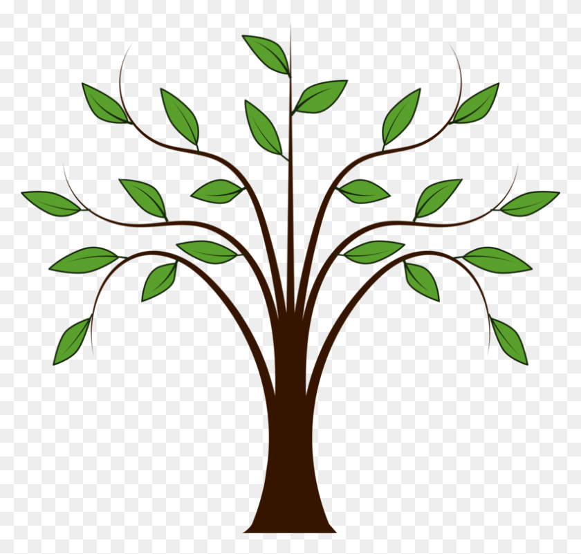 789x750 Trees And Leaves Download Branch Drawing - Woodland Tree Clipart