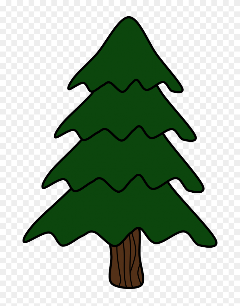 816x1056 Trees Clipartshare - Evergreen PNG