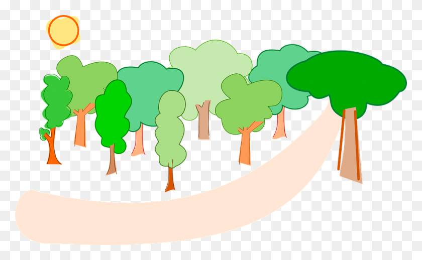 960x564 Trees Forest Nature Landscape Environment - Forest Trees PNG