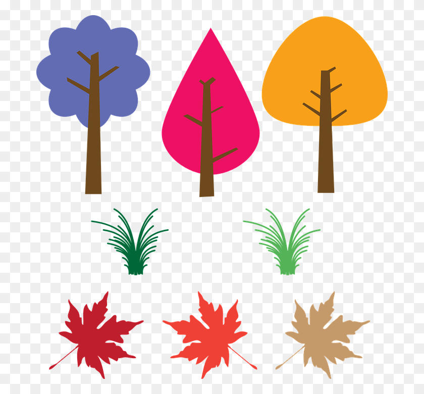 696x720 Trees, Leaves, Fallen Leaves, Colorful - Tree Without Leaves Clipart