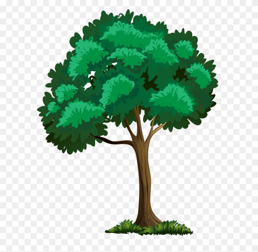 600x762 Trees Printsticker Flora - Tree Trunk Clipart