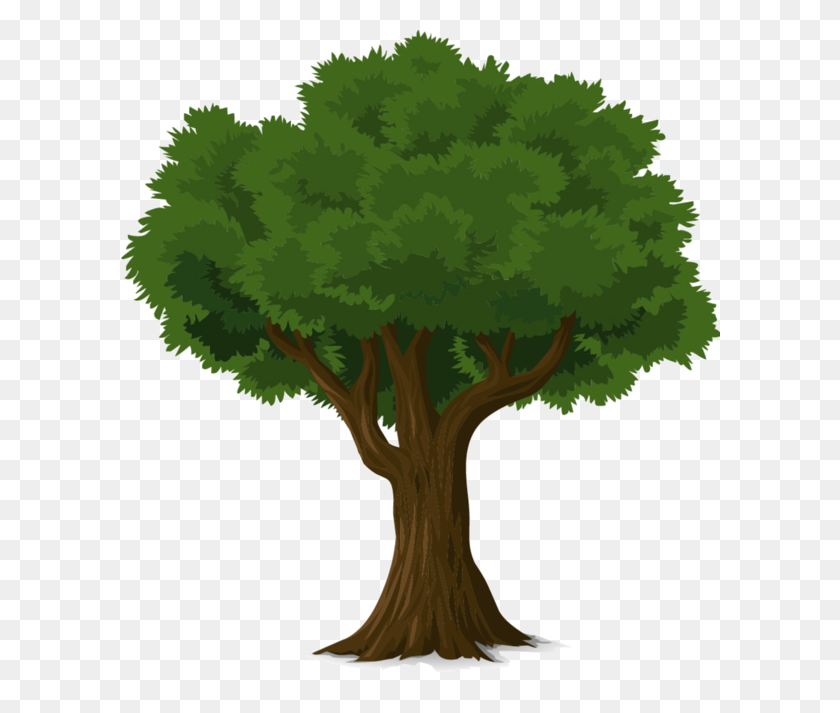 600x653 Trees Tree Forest, Leaves - Tree Of Life PNG