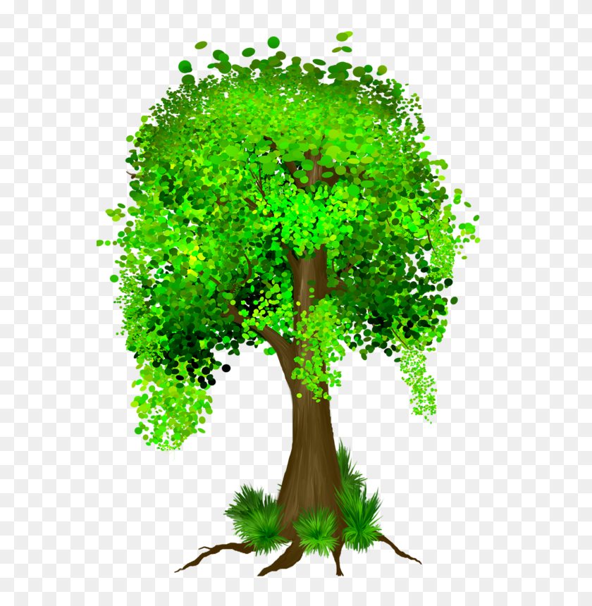 566x800 Trees Tree Of Life, Trees - Tree Of Life PNG