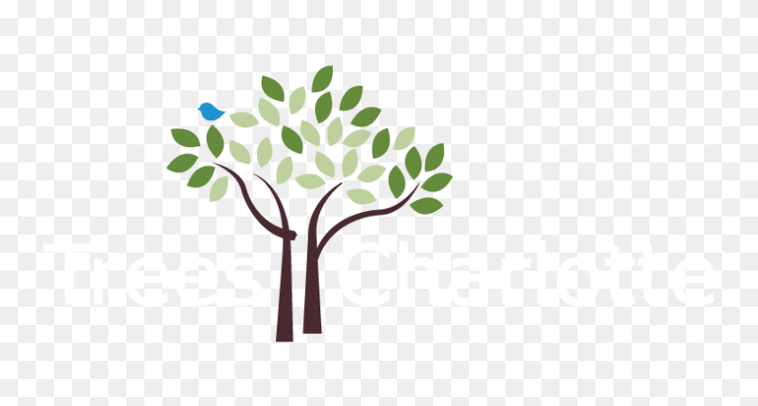 792x396 Treescharlotte Conservación De Las Copas De Los Árboles De Charlotte, Carolina Del Norte Sin Fines De Lucro - Árbol Logotipo Png