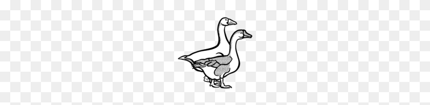 150x145 Trendy Design Duck Clipart Black And White Of A Goose In Cilpart - Duck Clipart Black And White