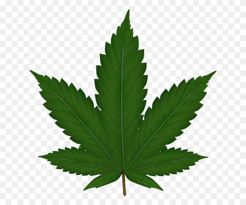 640x640 Trinidad Colorado Dispensary Colorado Weed Stores Walsenburg - Weed Smoke PNG