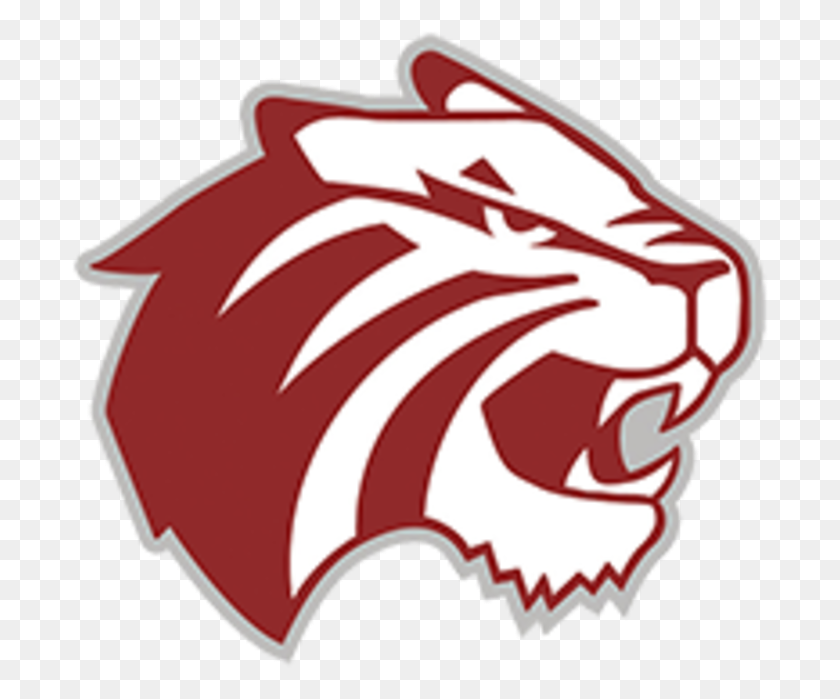 697x639 Trinity University Logo - Tiger Logo PNG
