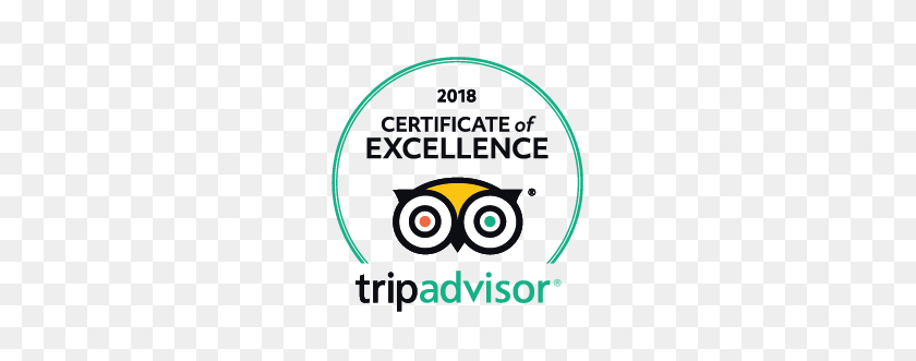 361x271 Tripadvisor Certificate Of Excellence Logo For Vineyard - Tripadvisor Logo PNG