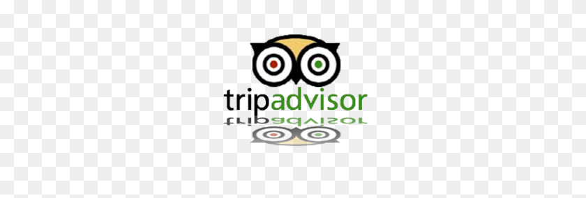 300x225 Tripadvisor Logo - Tripadvisor Logo PNG