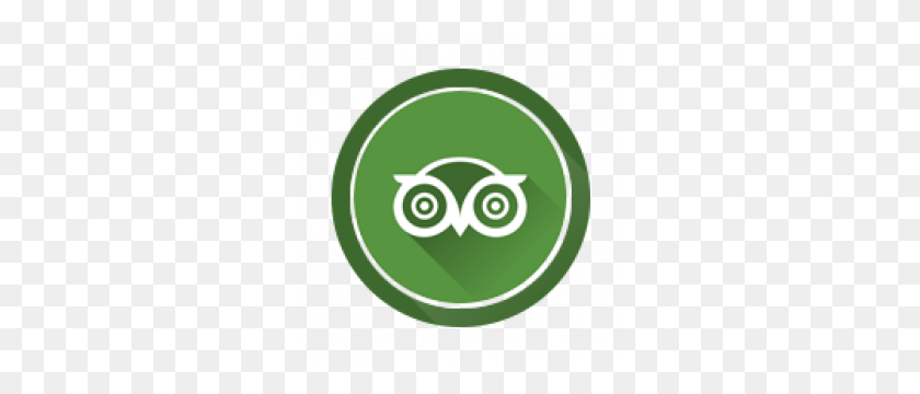 300x300 Tripadvisor User Icon - Ovo Owl PNG