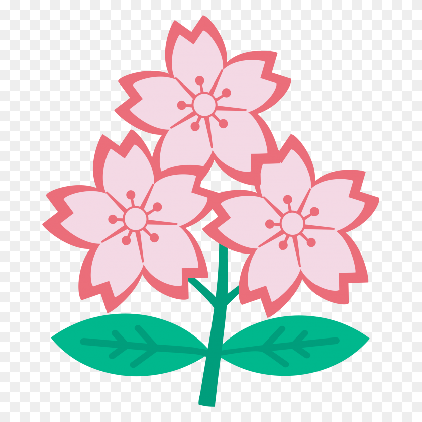 2000x2000 Triple Cherry Blossom - Цветок Сакуры Png