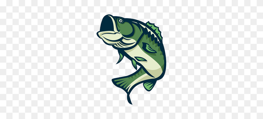 Tristate Bass Club A Tournament Bass Fishing Club For Ga - Bass Fish PNG