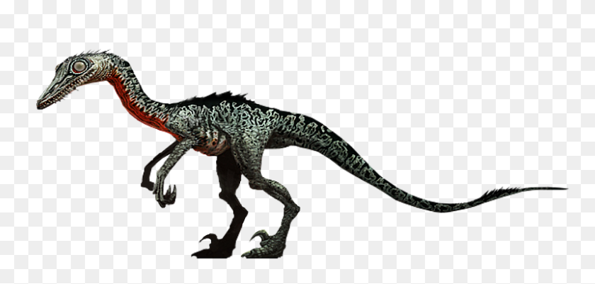 800x350 Troodon Jurassic Park Wiki Fandom Powered - Jurassic Park PNG