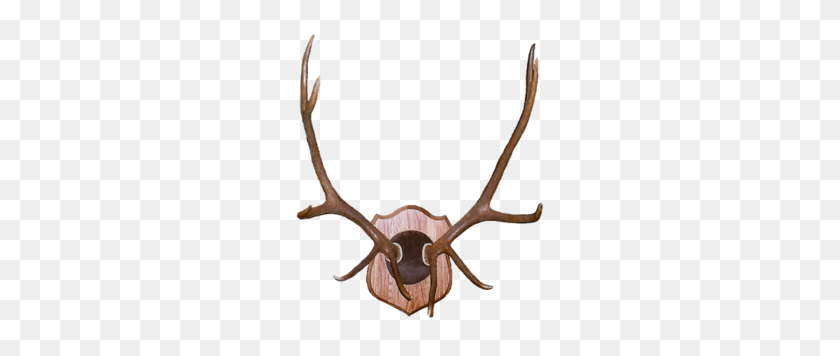 260x296 Trophy Hunting Clipart - Elk Head Clip Art