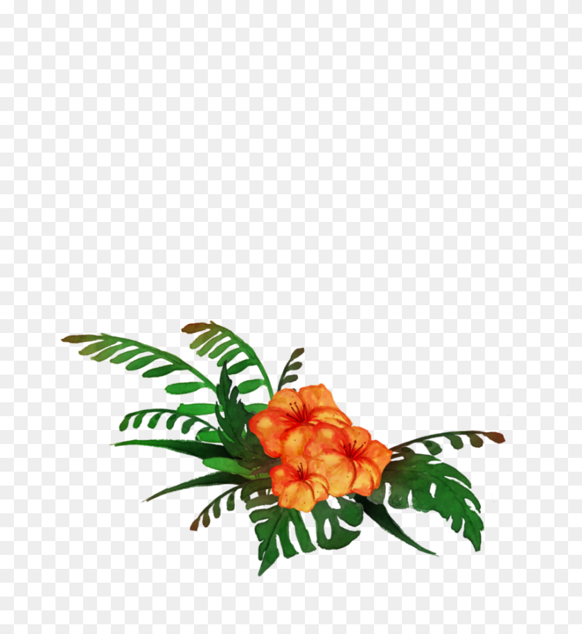 854x936 Tropical - Tropical Flowers PNG