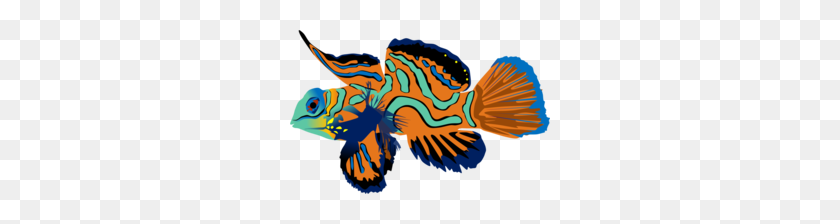 260x164 Tropical Clipart - Tropical Fish PNG