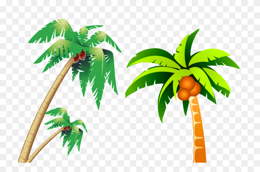 1024x655 Árbol De Coco Tropical Imagen Png Download Png Vector - Plantas Tropicales Png