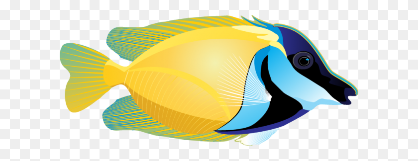 600x264 Tropical Fish Clip Art - Tropical Clipart