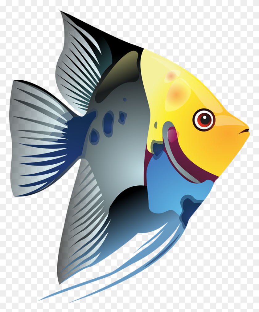 800x975 Tropical Fish Clip Art Look At Tropical Fish Clip Art Clip Art - Tropical Island Clipart