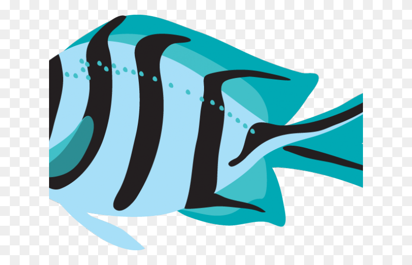 640x480 Tropical Fish Clipart - Betta Fish Clipart