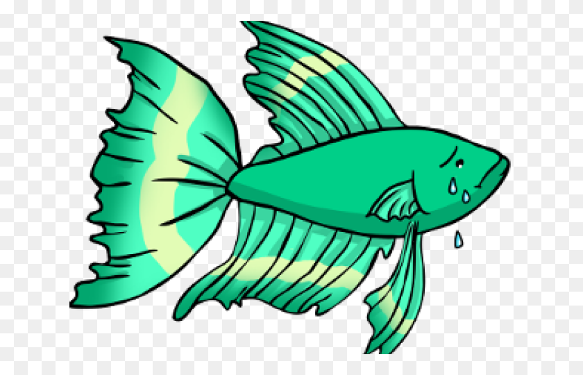 640x480 Tropical Fish Clipart Betta Fish - Betta Fish Clipart