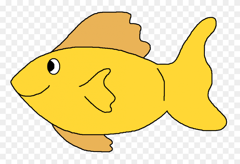 973x644 Tropical Fish Clipart Funny Fish - Tropical Fish PNG